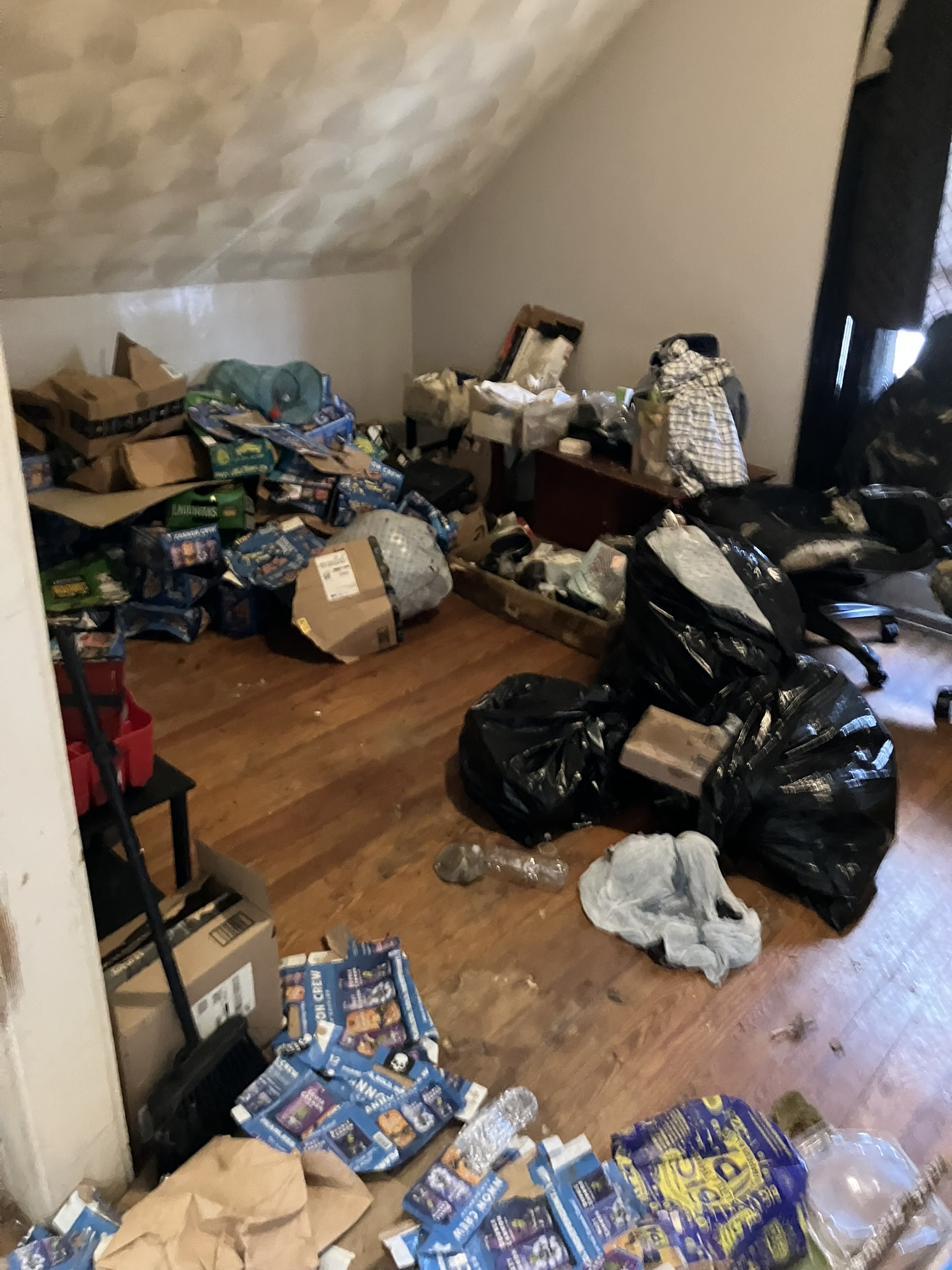 house cleanout warwick ri